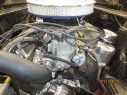 150429 67 Cougar (33).JPG